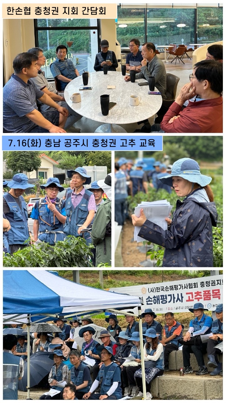 7.16 고추교육.jpg