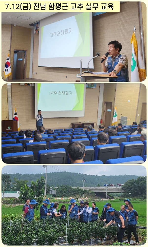 전남 함평군.jpg
