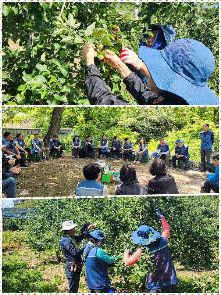 부산지회봉사활동.jpg