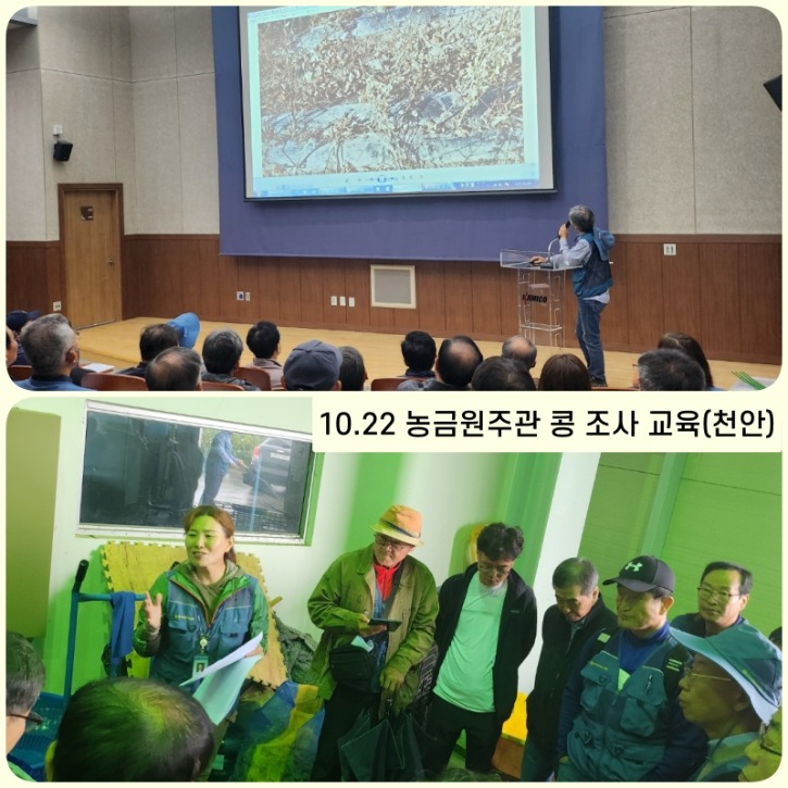10.22농금원 주관 콩 조사교육(천안).jpg